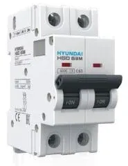 Hyundai Otomatik Sigorta 2P C16 HGD63P2PMC016