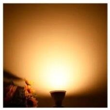 CATA CT-4215 8W ÇANAK LED AMPUL AMBER GU-10 DUY